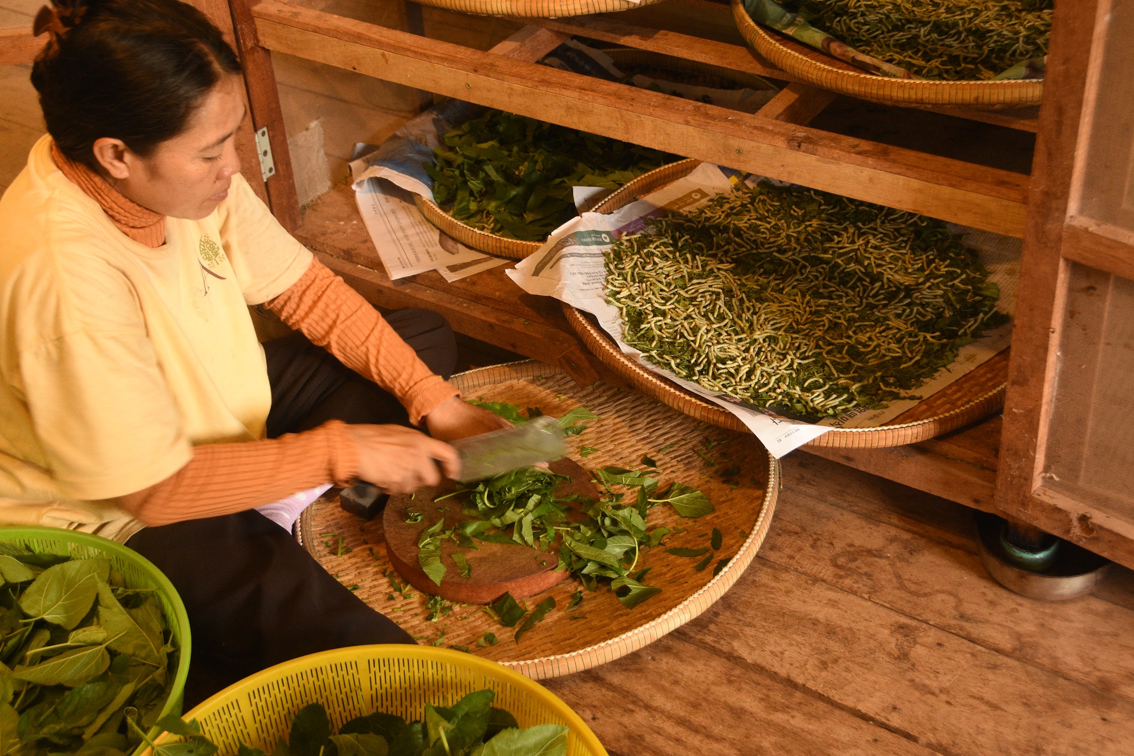 Penang food <br>experience