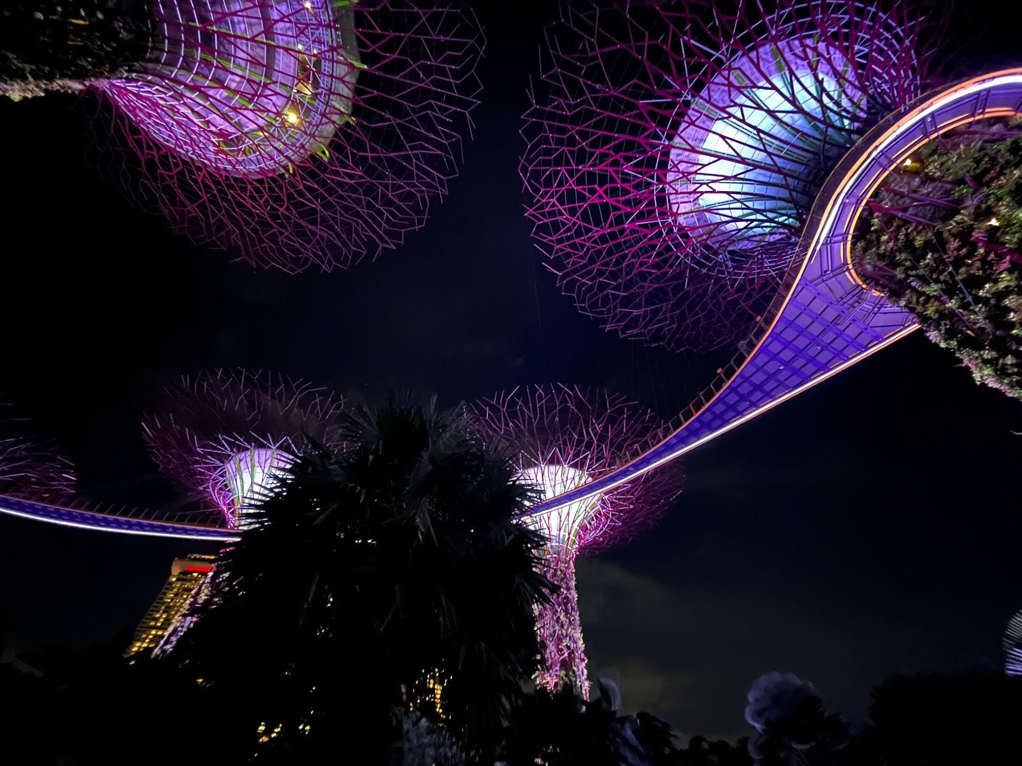 Singapore <br>after dark