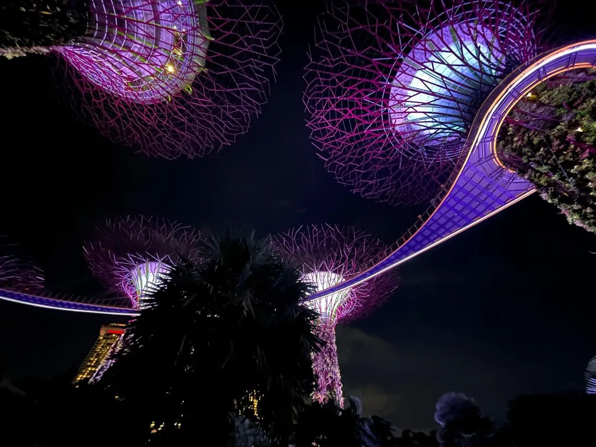 Rozświetlone Supertrees w Gardens by the Bay w Singapurze nocą